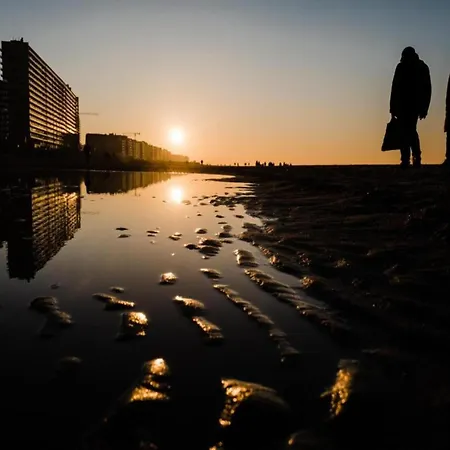 In With Stunning Sea Views * Oostende