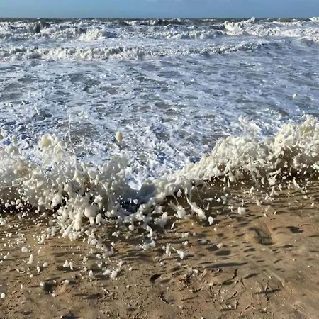 In With Stunning Sea Views Semesterbostad *