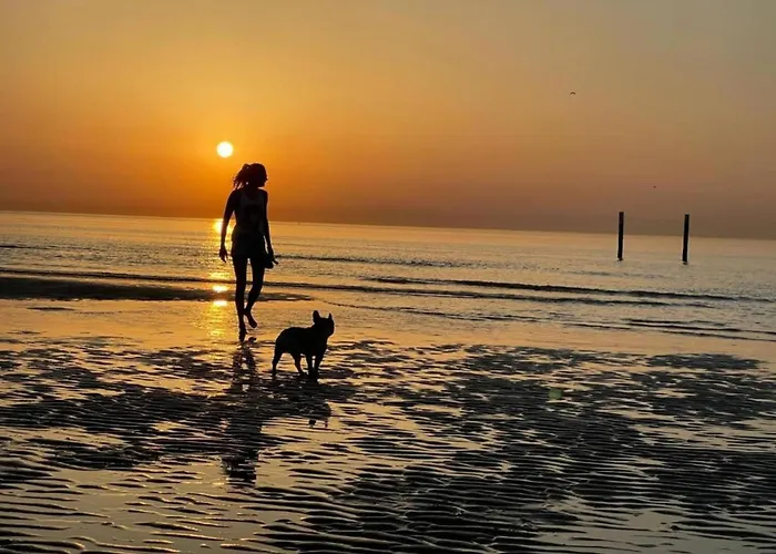 Σπίτι διακοπών In With Stunning Sea Views