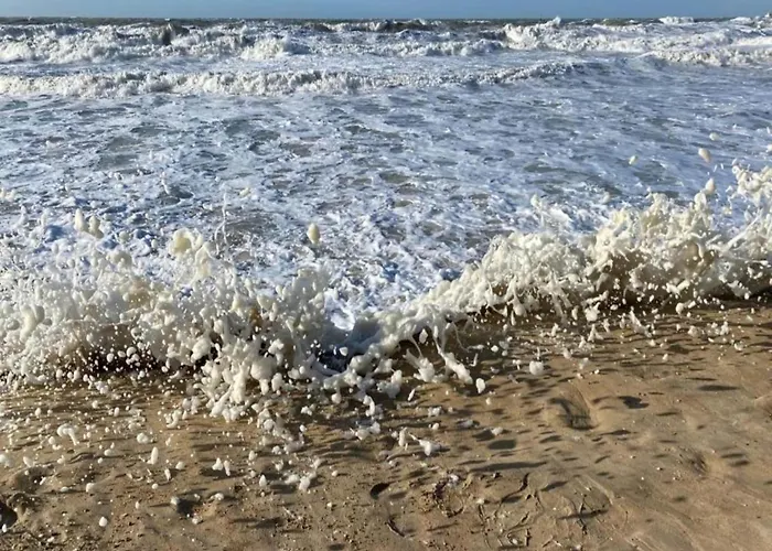 In With Stunning Sea Views Σπίτι διακοπών *